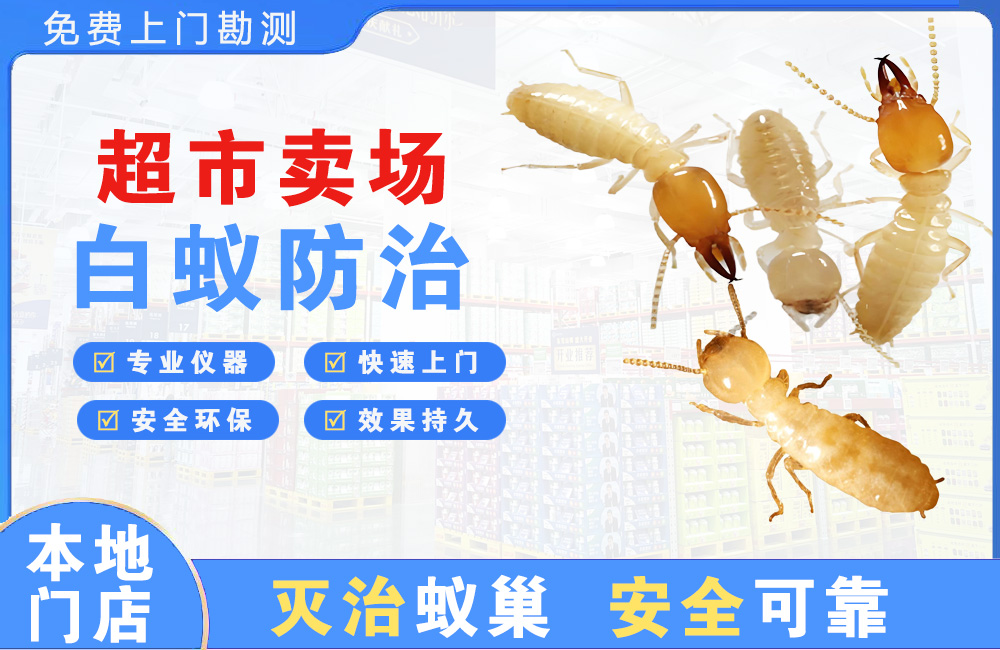云浮超市卖场白蚁防治